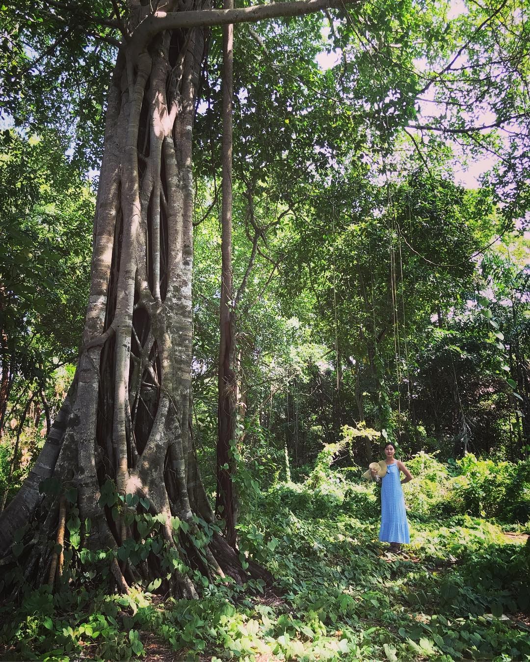 cam-nang-du-lich-phu-quoc-tu-tuc