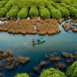 Đầm nước miền Trung đẹp hoang sơ chờ du khách khám phá Bàu Cá Cái miền Trung xanh mát nhìn từ trên cao.