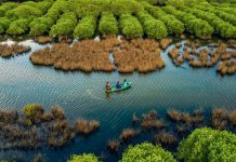 Đầm nước miền Trung đẹp hoang sơ chờ du khách khám phá Bàu Cá Cái miền Trung xanh mát nhìn từ trên cao.