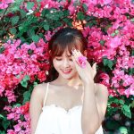 Hoa giấy khoe sắc trên góc phố Sài thành Hoa giay khoe sac tren goc pho Sai thanh hinh anh 1 85185655_1081917292177074_2751120981962522624_o.jpg