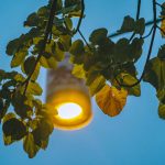 Xứ Huế bình yên trong buổi sớm mai Xu Hue binh yen trong buoi som mai hinh anh 1 BUI01274_1.jpg