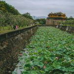 Mùa sen về trên đất cố đô Mua sen ve tren dat co do hinh anh 1 BUI01290_1_.jpg