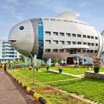 Nhà hình gấu, cá sấu và những thiết kế hình động vật trên thế giới Nha hinh gau, ca sau va nhung thiet ke hinh dong vat tren the gioi hinh anh 1 ca.jpg