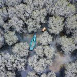 Loạt cảnh đẹp Việt Nam vào top 50 ảnh sông nước ấn tượng nhất thế giới Loat canh dep Viet Nam vao top 50 anh song nuoc an tuong nhat the gioi hinh anh 1 Catching_fish_by_duysinh_Vietnam_5e860822f2936_880.jpg