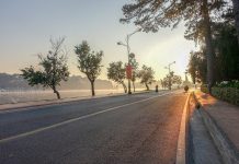 Cách ly xã hội: Đà Lạt phố vắng không người, yên tĩnh lạ kỳ Con đường ven Hồ Xuân Hương /// Phạm Anh Dũng