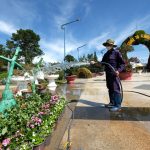 Đà Lạt cởi mở, nhiều nơi đắn đo Đà Lạt cởi mở, nhiều nơi đắn đo - Ảnh 1.