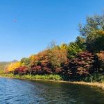 Bữa ăn miễn phí tại Pattaya, Thái Lan trong dịch COVID-19 Ngành du lịch và hàng không thế giới bị thiệt hại nặng do COVID-19