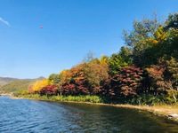 Bữa ăn miễn phí tại Pattaya, Thái Lan trong dịch COVID-19 Ngành du lịch và hàng không thế giới bị thiệt hại nặng do COVID-19