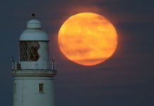 Cơ hội chiêm ngưỡng “siêu trăng” cuối cùng trong năm 2020 Cơ hội chiêm ngưỡng “siêu trăng” cuối cùng trong năm 2020 - Ảnh 1.