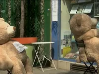 Pháp: Tiệm báo dùng gấu bông để nhắc nhở giãn cách xã hội