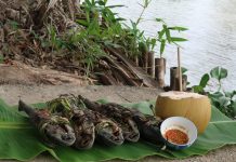 Dân dã miền Tây trong dịch Covid-19: Thong thả một mình nướng cá lau kiếng ăn chơi Ngồi ăn cá nướng bên sông gió thổi mát rượi. /// Đỗ Suốt Anh