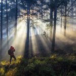 Người đi săn nắng nơi thành phố sương mờ Đà Lạt Nguoi di san nang noi thanh pho suong mo Da Lat hinh anh 1 IMG_8592.jpg