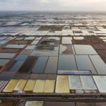 Cánh đồng muối đẹp như tranh Cánh đồng muối đẹp như tranh