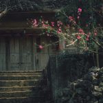 Hà Giang đẹp từ những điều giản đơn Ha Giang dep tu nhung dieu gian don hinh anh 1 NTT_7769.jpg