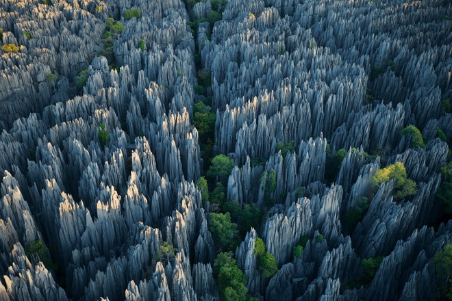 Dai lo cay baobab noi tieng nam o quoc gia nao? hinh anh 6