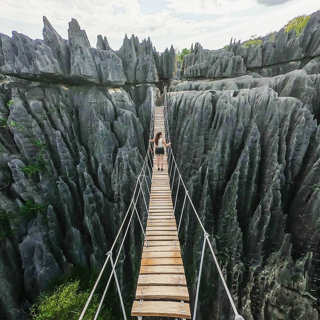 Dai lo cay baobab noi tieng nam o quoc gia nao? hinh anh 5