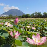 3 ngọn núi cao ở Đông Nam Bộ 3 ngon nui cao o Dong Nam Bo hinh anh 1