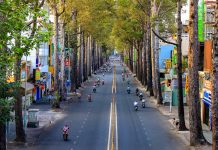 Các con đường ở TP.HCM đẹp lạ những ngày cách ly xã hội Cac con duong o TP.HCM dep la nhung ngay cach ly xa hoi hinh anh 1 tphcm_zing1_2.JPG