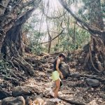 4 khu rừng nguyên sinh đẹp nổi tiếng ở Việt Nam 4 khu rung nguyen sinh dep noi tieng o Viet Nam hinh anh 1 trabong_89116588_671380990338036_7502132118191048750_n.jpg