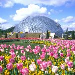 Đến nơi bốn mùa đều ngát hương hoa Đến nơi bốn mùa đều ngát hương hoa - 1