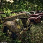 Vẻ đẹp ma mị của những chiếc ô tô bị thiên nhiên xâm lấn Vẻ đẹp ma mị của những chiếc ô tô bị thiên nhiên xâm lấn - 1