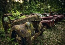 Vẻ đẹp ma mị của những chiếc ô tô bị thiên nhiên xâm lấn Vẻ đẹp ma mị của những chiếc ô tô bị thiên nhiên xâm lấn - 1