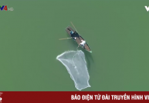 Trải nghiệm ngày mới trên hồ Tuyền Lâm, Đà Lạt