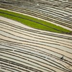 Mùa nước đổ trên những thửa ruộng bậc thang – Đẹp bình dị Mùa nước đổ trên những thửa ruộng bậc thang - Đẹp bình dị - Ảnh 1.