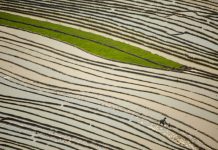 Mùa nước đổ trên những thửa ruộng bậc thang – Đẹp bình dị Mùa nước đổ trên những thửa ruộng bậc thang - Đẹp bình dị - Ảnh 1.