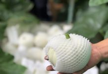 Du lịch nhà vườn Đà Lạt: nông dân mở lòng nếu khách dễ thương Du lịch nhà vườn Đà Lạt: nông dân mở lòng nếu khách dễ thương - Ảnh 1.