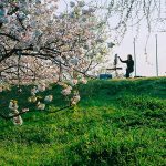 Nhật Bản đón tuần lễ vàng trong không khí bình yên Nhat Ban don tuan le vang trong khong khi binh yen hinh anh 1 1_64_..jpg