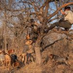 Đội chó đặc nhiệm bảo vệ số tê giác ít ỏi trên thế giới Doi cho dac nhiem bao ve so te giac it oi tren the gioi hinh anh 1 2.jpg