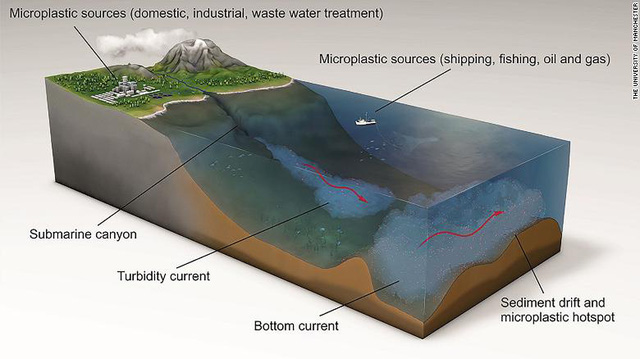 Phát hiện mức kết tụ vi nhựa dưới đáy biển cao nhất lịch sử - Ảnh 3.