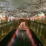 Nhật Bản chi 12 tỷ USD để lôi kéo du khách trở lại Nhật Bản chi 12 tỷ USD để lôi kéo du khách trở lại - Ảnh 1.