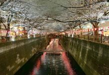 Nhật Bản chi 12 tỷ USD để lôi kéo du khách trở lại Nhật Bản chi 12 tỷ USD để lôi kéo du khách trở lại - Ảnh 1.