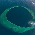 Ảnh đánh cá bằng lưới vây được khen ngợi trên 5 báo nước ngoài Anh danh ca bang luoi vay duoc khen ngoi tren 5 bao nuoc ngoai hinh anh 1 bat_dau_quay_luoi.jpg