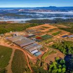 Những điểm check-in nổi tiếng của Đà Lạt nhìn từ trên cao Nhung diem check-in noi tieng cua Da Lat nhin tu tren cao hinh anh 1 cau_dat_farm_zing.JPG