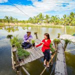 Giá tour siêu rẻ cho người Việt đi du lịch khắp mọi miền đất nước Tour về miền Tây với mức giá hấp dẫn sau dịch /// Ảnh: Vietravel