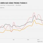 Tuần đạt đỉnh của giá vàng Tuan dat dinh cua gia vang hinh anh 1 DIEN_BIEN_GIA_VANG_TRONG_THANG_5.jpg
