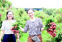 Hãy đến quê tôi – Vương quốc vải thiều Hãy đến quê tôi - Vương quốc vải thiều - Ảnh 1.