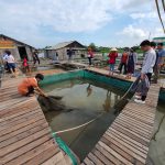 Một loạt sản phẩm du lịch hoàn toàn mới ở miền Tây được tung ra để kích cầu sau dịch Một loạt sản phẩm du lịch hoàn toàn mới ở miền Tây được tung ra để kích cầu sau dịch - Ảnh 1.