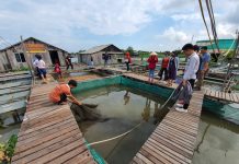 Một loạt sản phẩm du lịch hoàn toàn mới ở miền Tây được tung ra để kích cầu sau dịch Một loạt sản phẩm du lịch hoàn toàn mới ở miền Tây được tung ra để kích cầu sau dịch - Ảnh 1.