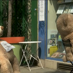 Vườn thú đường phố đặc biệt ở thủ đô nước Mỹ Pháp: Tiệm báo dùng gấu bông để nhắc nhở giãn cách xã hội