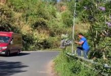 Nam du khách lên Đà Lạt thản nhiên bẻ hoa phượng tím gây bức xúc kể gì? Ông Tài vô tư bẻ hoa mang về /// G.B (chụp lại từ màn hình clip)