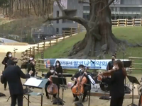 Hàn Quốc: Hòa nhạc dưới tòa nhà chung cư, đảm bảo  giãn cách xã hội