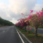 Thiềng Liềng ngộ quá hén! Thiềng Liềng ngộ quá hén! - Ảnh 1.