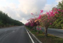 Thiềng Liềng ngộ quá hén! Thiềng Liềng ngộ quá hén! - Ảnh 1.