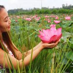 Những thiếu nữ bị mùa sen rực rỡ ‘đốn tim’ giữa ngày hè oi ả Những ao sen xứ Quảng trở thành điểm tham quan mới lạ của giới trẻ. /// MẠNH CƯỜNG