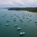 Reuters: Việt Nam có thể tham gia du lịch biệt lập với nước khống chế dịch thành công Reuters: Việt Nam có thể tham gia du lịch biệt lập với nước khống chế dịch thành công - Ảnh 1.