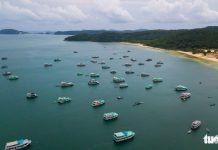 Reuters: Việt Nam có thể tham gia du lịch biệt lập với nước khống chế dịch thành công Reuters: Việt Nam có thể tham gia du lịch biệt lập với nước khống chế dịch thành công - Ảnh 1.